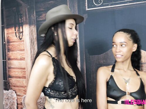 Milking the Busty Cow Teacher - Lesbian Tutors 13 - Tiffy, Fabi Pans, Natasha Alves