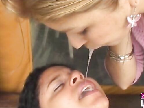Spit Swallow on the Farm