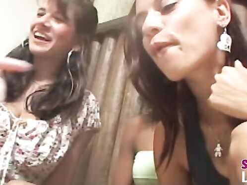 Spitting Gang Swallow